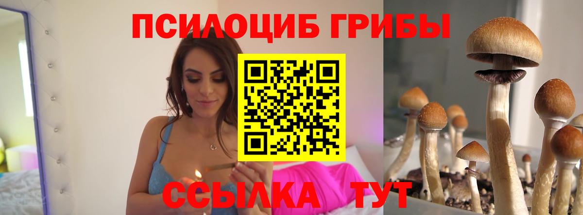 Галлюциногенные грибы MAGIC MUSHROOMS Гусь-Хрустальный
